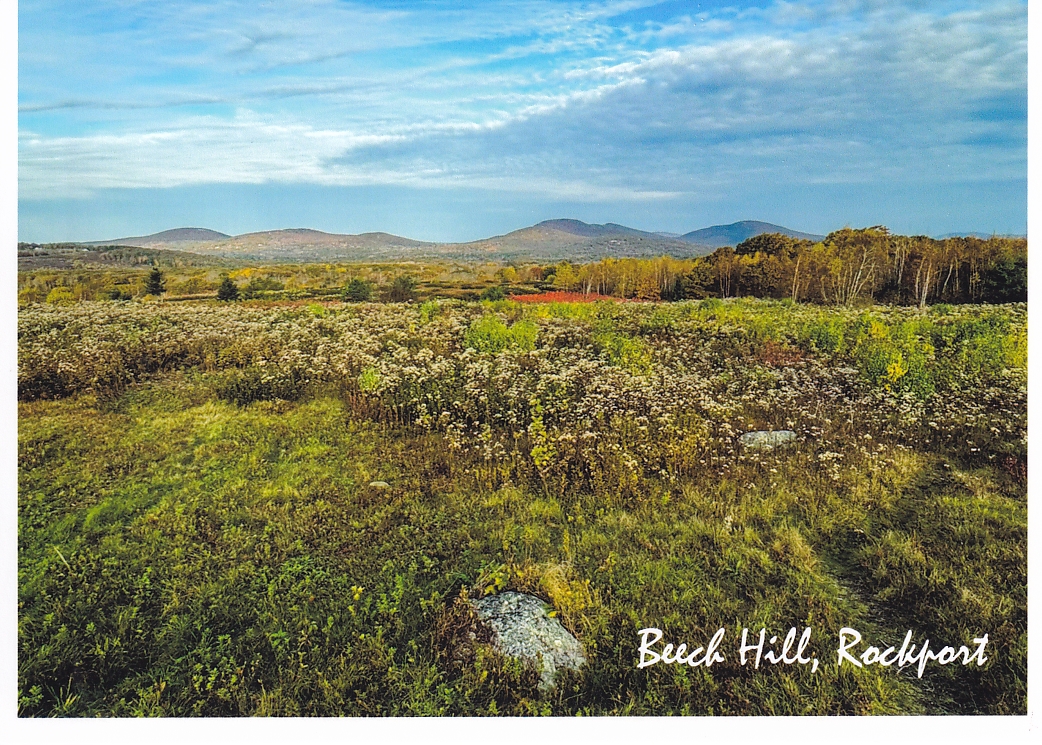 Beech Hill, Rockport #3