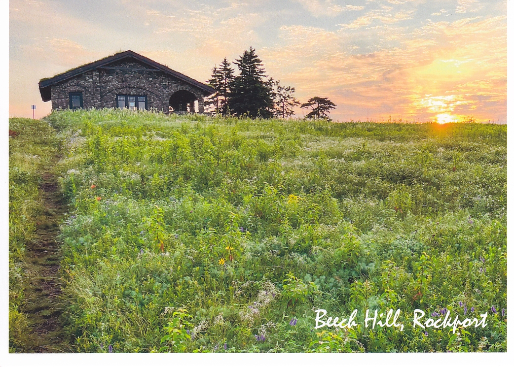 Beech Hill, Rockport #2