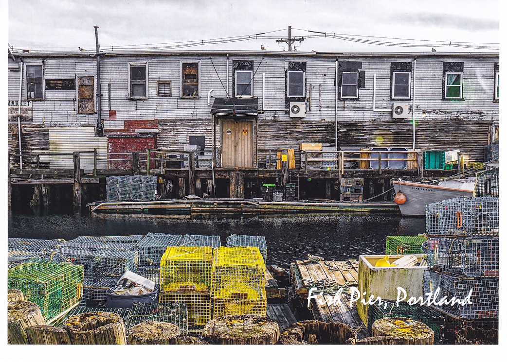 Fish Pier, Portland