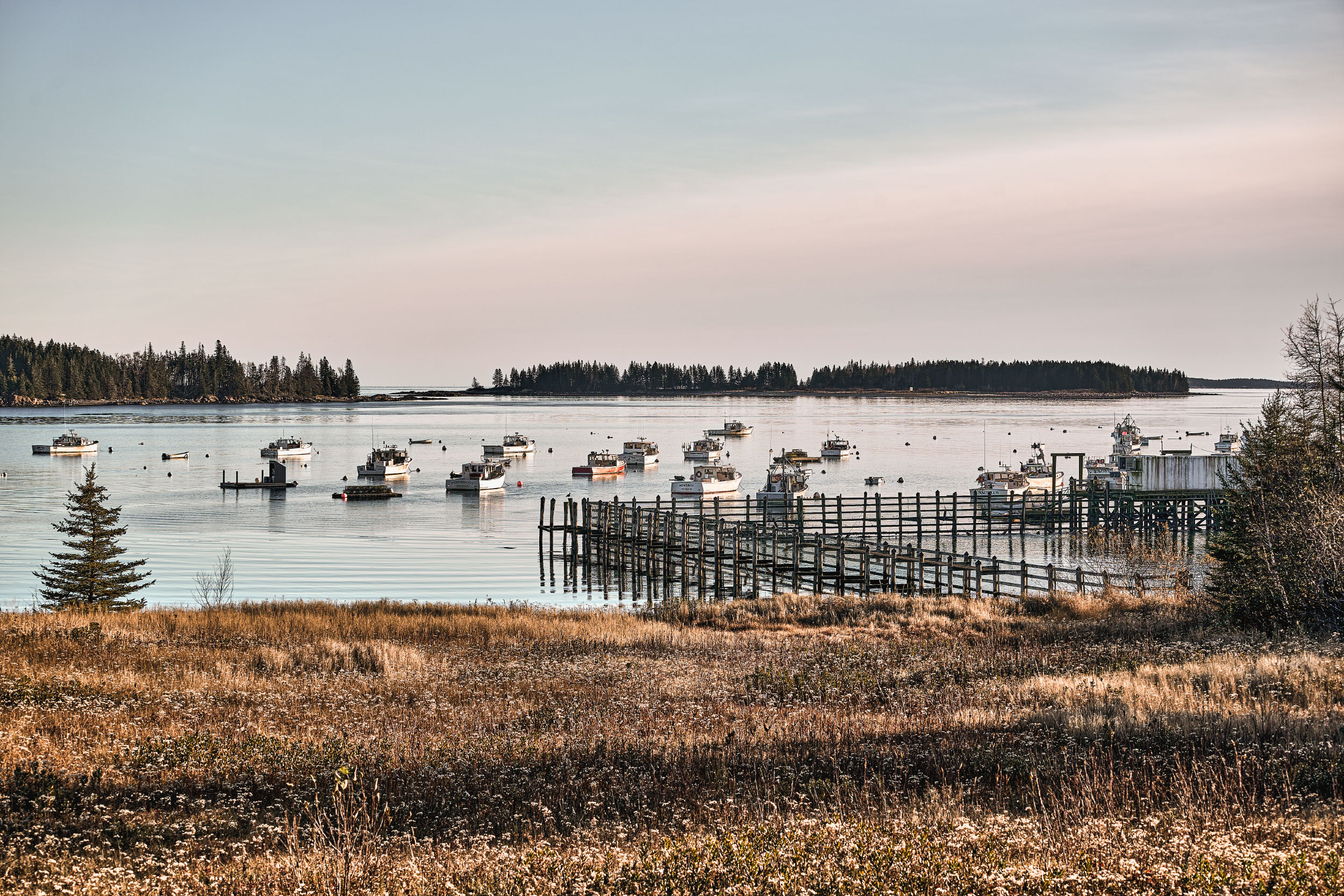 About Especially Maine