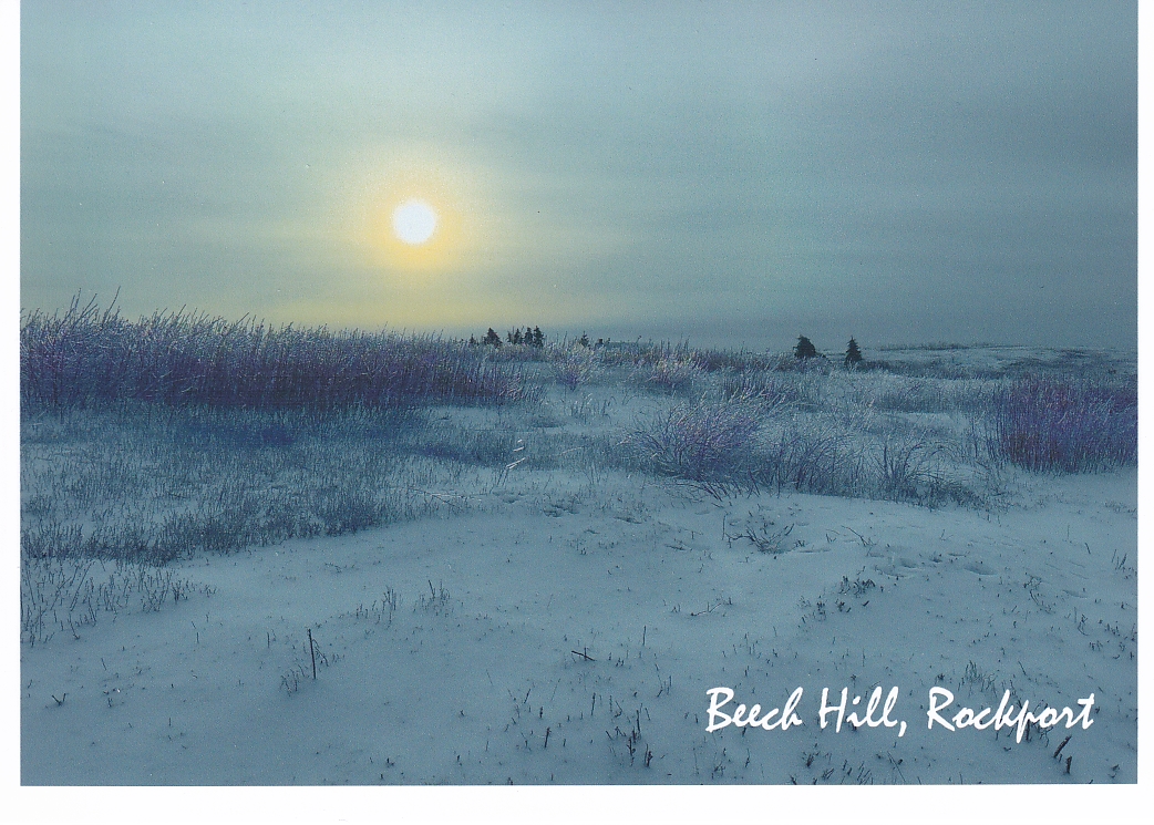 Beech Hill #6