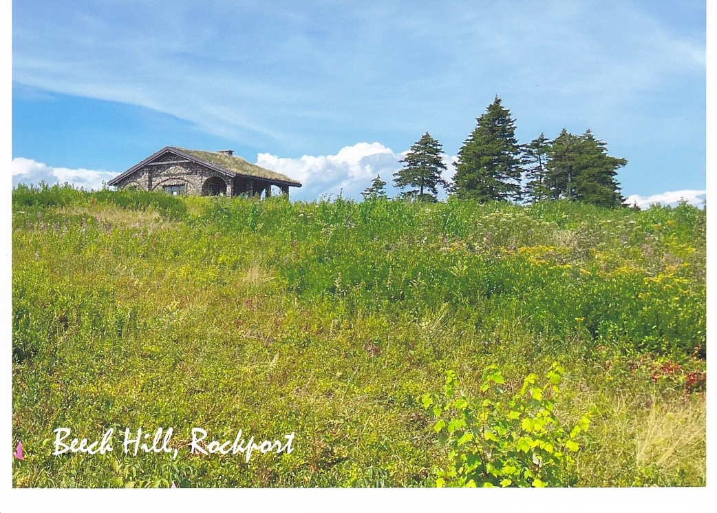 Beech Hill #8